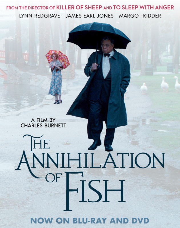 Annihilation of Fish