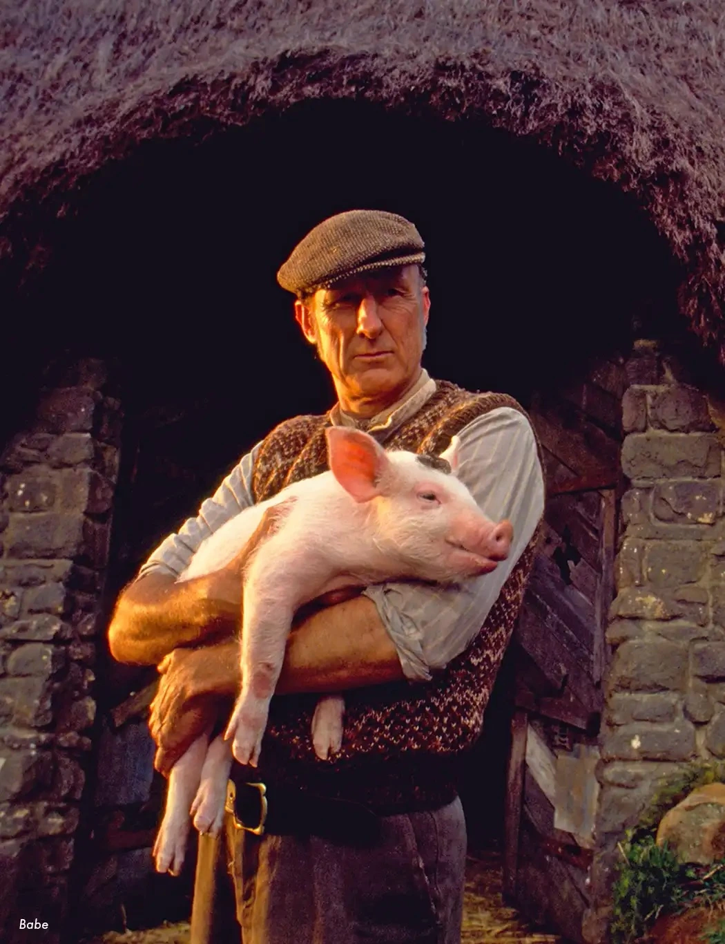 Spring into Action Sale