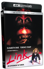 Link (4KUHD)
