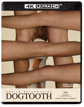 Dogtooth