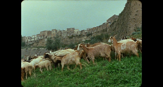 A scene from IL DONO. A Kino Lorber release.