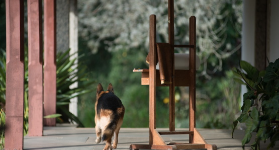 A scene from <i>Landscape Film: Roberto Burle Marx</i>, courtesy Kino Lorber