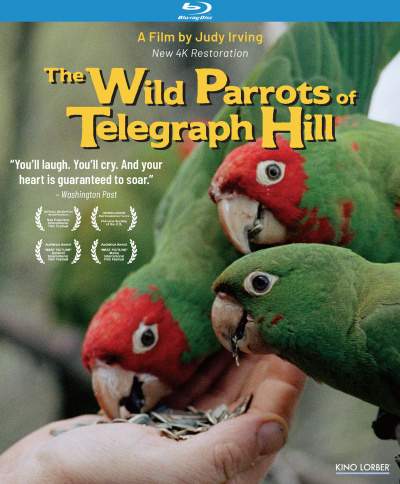 The Wild Parrots of Telegraph Hill