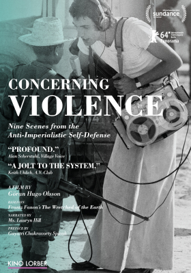 Concerning Violence