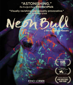 Neon Bull 