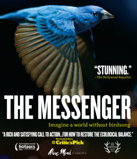 The Messenger