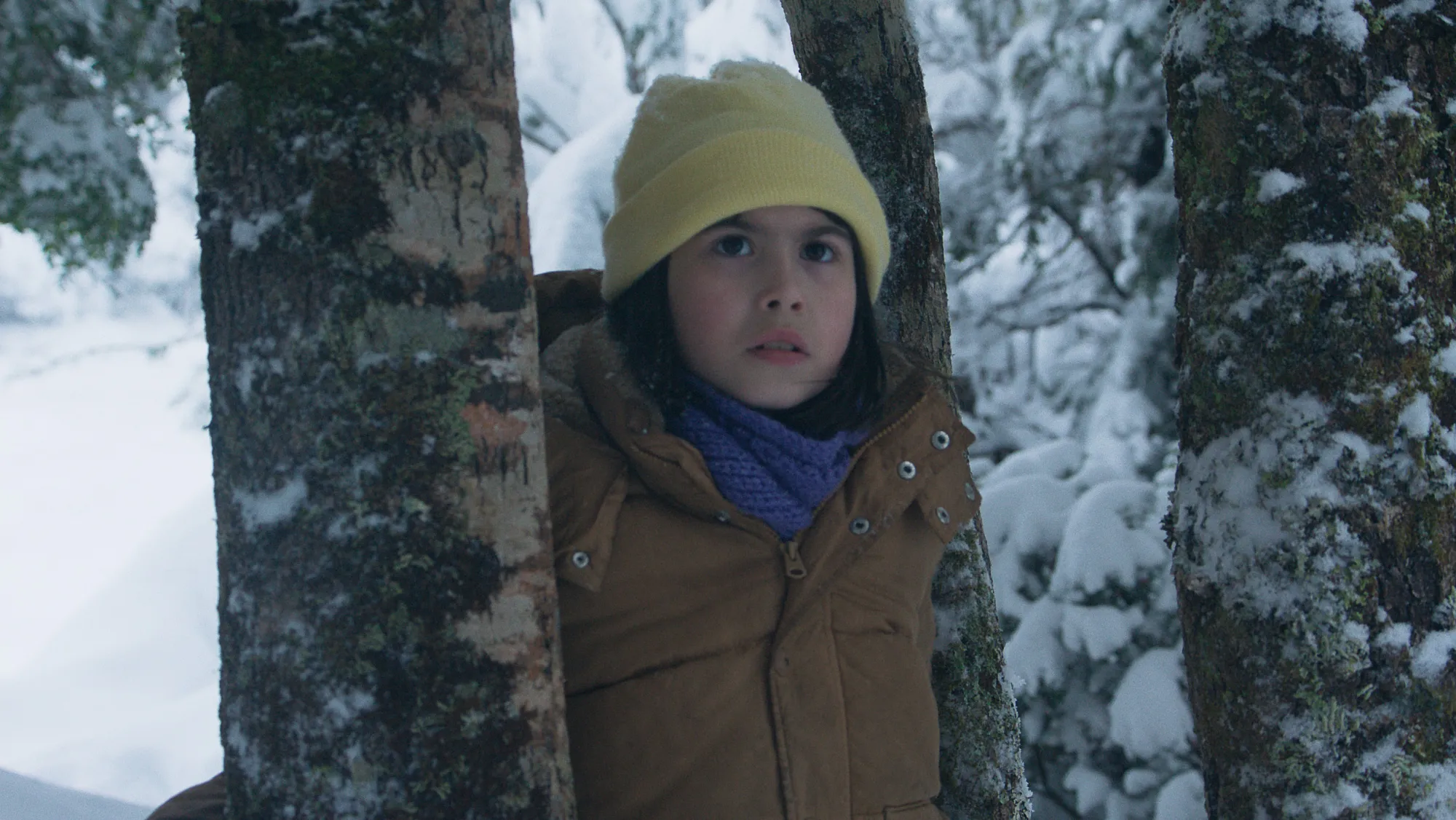 Kino Lorber Acquires U.S. Rights to Manuela Martelli's Cannes Un Certain Regard Selection 'The Meltdown'